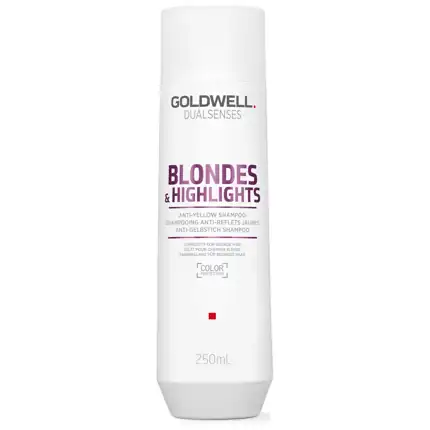 Goldwell DualSenses Blondes & Highlights Shampoo (250ml)
